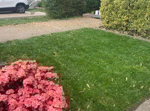 Lindsey H.'s Lawn Service service result