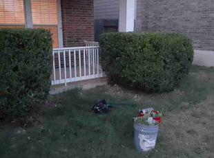 Bush Trimming by Mike Ward for J Z. in San Antonio, TX