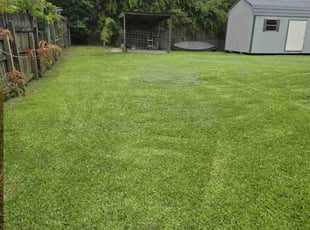 Tara M.'s Lawn Mowing Service service result
