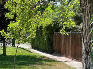 Bush Trimming by Justin Hands for Taylor J. in Denver, CO