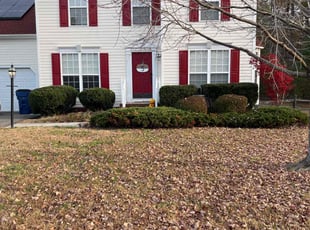 Bush Trimming by LaWanda Moses for Jesse S. in Chesterfield, VA