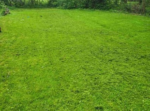 Kimberly V.'s Lawn Mowing Service service result