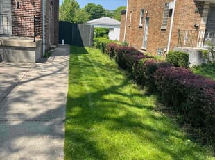 Armando R.'s Lawn Service service result