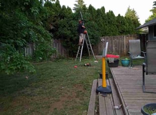 Bush Trimming by Riki Howry for Kelley W. in Vancouver, WA