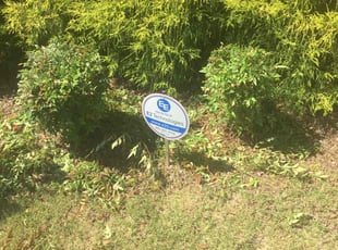 Bush Trimming by Billy Bryant for Khaleel O. in Garner, NC