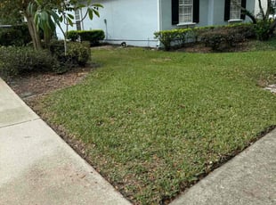 William D.'s Lawn Care service result