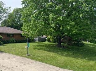 Brandon T.'s Lawn Mowing service result