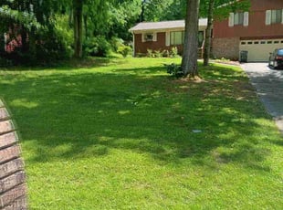 diane g.'s Lawn Mowing service result