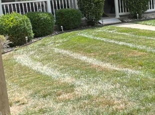 Weeding by Bo Hickmon for Glenda W. in Raytown, MO
