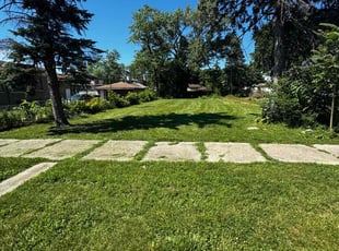 Lynette B.'s Yard Cutting service result