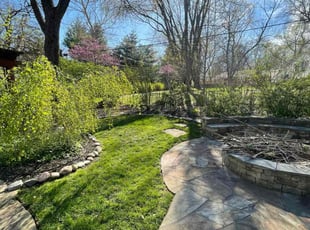 Katina B.'s Lawn Mowing service result