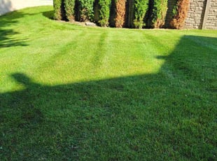 Althea P.'s Lawn Service service result