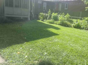 Madeline H.'s Yard Cutting service result