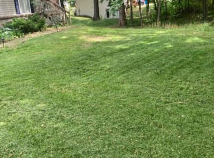 Simeon H.'s Grass Cutting service result