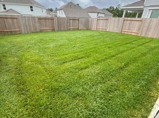 Maria M.'s Grass Cutting service result