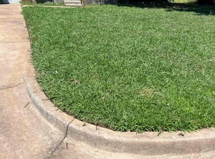 Jack M.'s Lawn Service service result