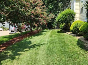 Keita C.'s Yard Cutting service result