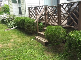 Bush Trimming by Alphonso Hoke for Maree T. in Towson, MD