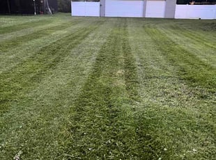 Jason T.'s Yard Cutting service result