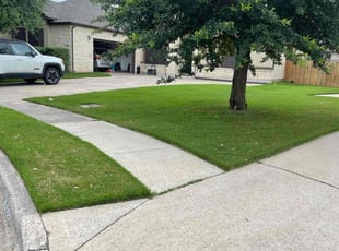 Scarlene A.'s Grass Cutting service result