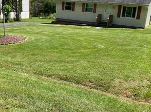 Lazar H.'s Grass Cutting service result