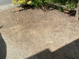 Weeding by Jaelonie Ayres for Stephanie A. in Renton, WA
