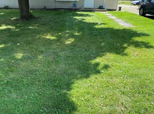 Kim S.'s Lawn Service service result