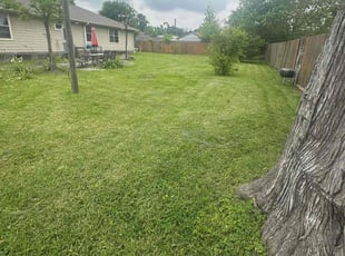 Zach M.'s Lawn Mowing service result