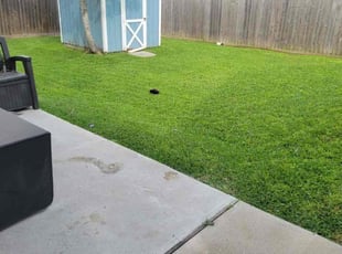 Andrea R.'s Lawn Mowing service result