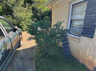 Bush Trimming by Brandon McGee for Sharyl H. in Greenville, SC