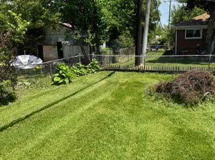 Robbie F.'s Grass Cutting service result