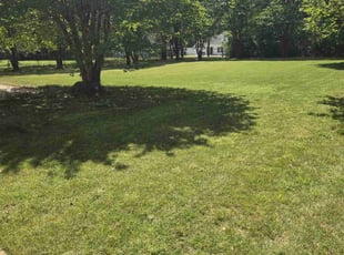 Tommy E.'s Lawn Mowing service result