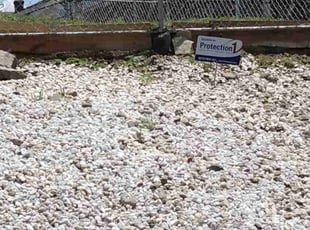 Landscaping by Chris Slone for Rachel P. in Louisville, KY
