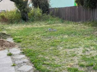 Bush Trimming by Robert Camarena for Tai a. in Inglewood, CA