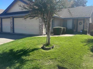 Antonette L.'s Lawn Service service result