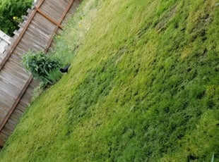Cleanups by Camilo Hincapie for Lindsay P. in Seattle, WA