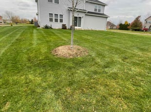 Nikhil K.'s Lawn Service service result