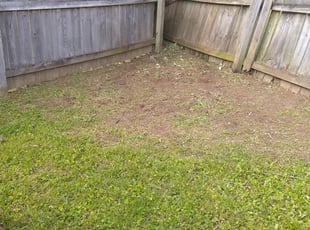 Larry H.'s Cleanups service result