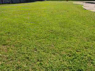 Kelly O.'s Lawn Service service result