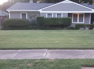 Bush Trimming by Jaih Landscapes for Robert W. in Memphis, TN