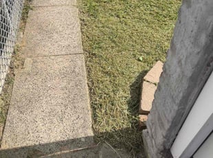 Ronnie S.'s Lawn Mowing service result