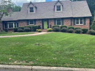 Lydia S.'s Grass Cutting service result
