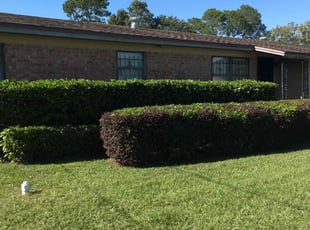 Bush Trimming by Jeffrey Combs for Tam N. in Jacksonville, FL