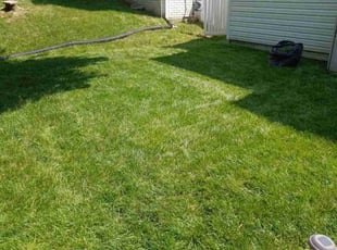 Dwight B.'s Lawn Mowing service result
