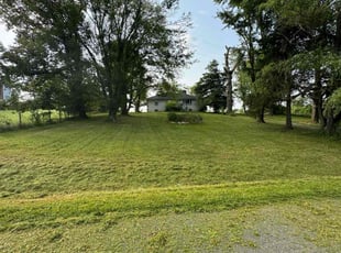 Lou C.'s Lawn Care service result