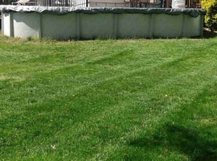 Lotanna O.'s Lawn Mowing service result