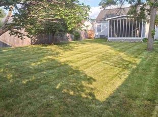 Umbra D.'s Lawn Mowing service result