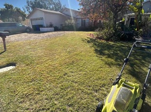 Steven C.'s Lawn Maintenance service result