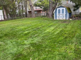 Leaf Removal by Demetrius Bennett Jr for Tianna I. in South Euclid, OH