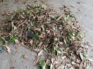 Cleanups by Rodney Tucker for Lynn P. in Atlanta, GA